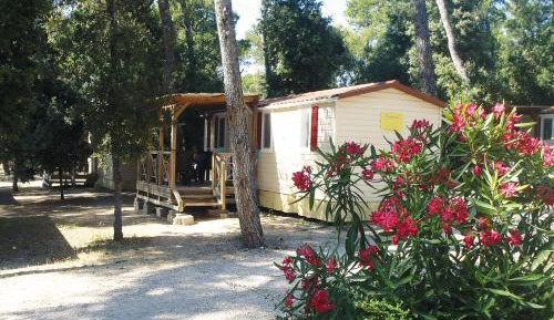 Mobile Home