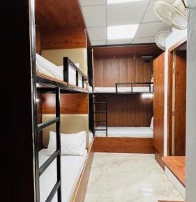 Bed in 6-Bed Dormitory Room