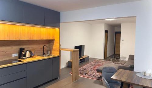 Superior One-Bedroom Apartment