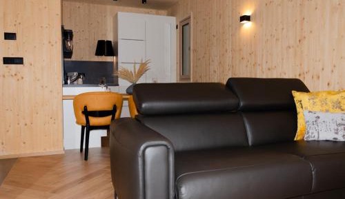 Superior Apartment with Sauna