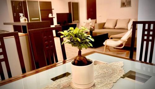 Deluxe One-Bedroom Apartment