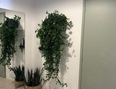 One-Bedroom Apartment with Garden