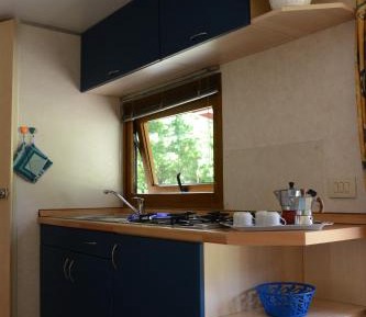 Mobile Home