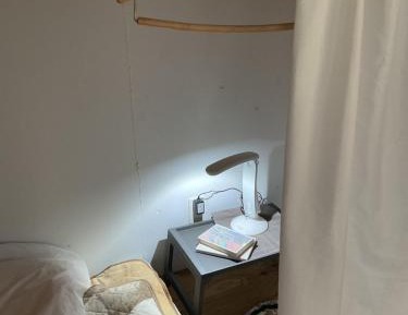 Bunk Bed in Mixed Dormitory Room