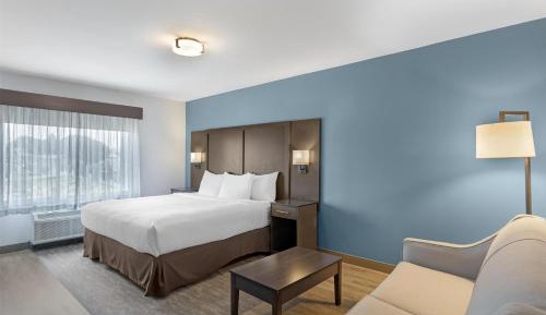 King Room with Sofa Bed