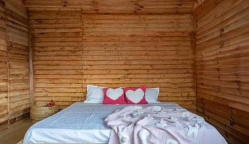 Deluxe Double Room (2 Adults + 1 Child)