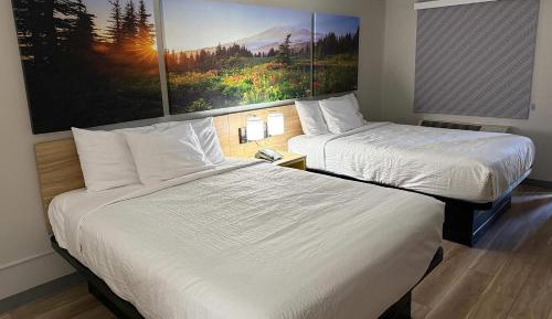 Double Room with Two Double Beds and Roll-In Shower - Mobility/Hearing Accessible - Non-Smoking