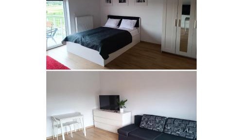 Studio with Sofa Bed