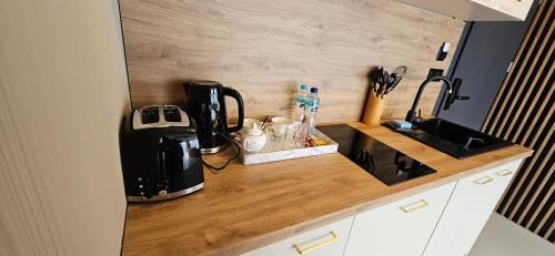Deluxe One-Bedroom Apartment