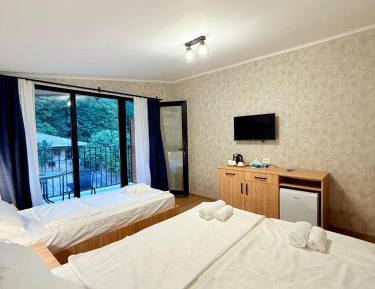 Family Room with Mountain View