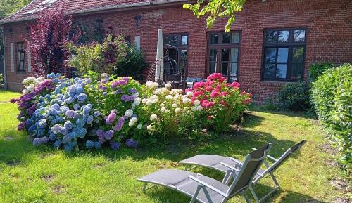 Family Two-Bedroom Apartment with View