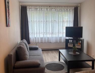 One-Bedroom Family Apartment
