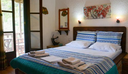 King Room with Garden View