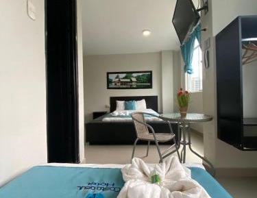 Large Single Room