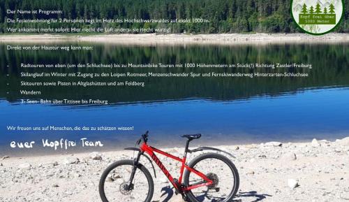 Superior One-Bedroom Apartment