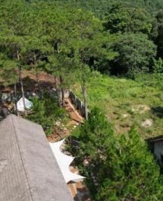 Villa with Garden View