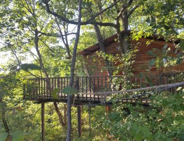 One-Bedroom Chalet