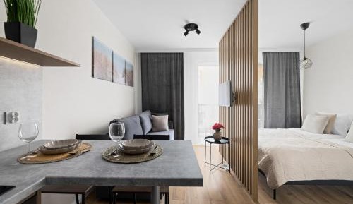 King Studio with Sofa Bed