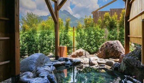 Japanese-Style Deluxe Room with 2 Open Air Bath - Annex