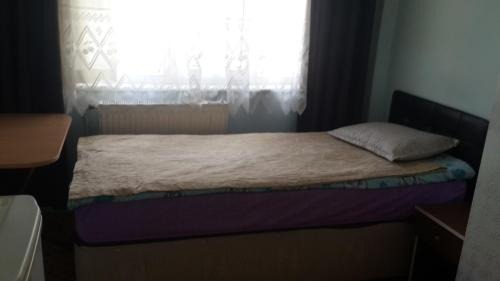 Family Room with Garden View