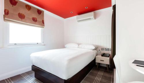 Superior Single Room