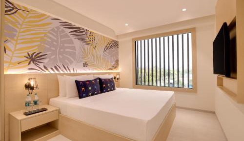 Standard Suite