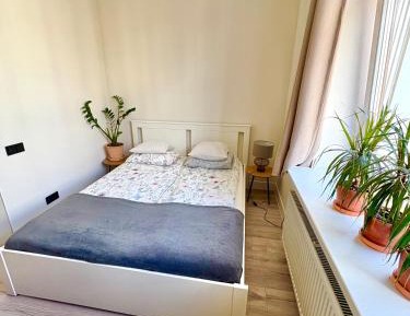 One-Bedroom Apartment - Non-Smoking