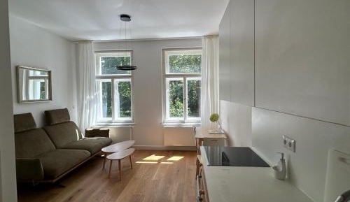 Classic One-Bedroom Apartment with King Bed