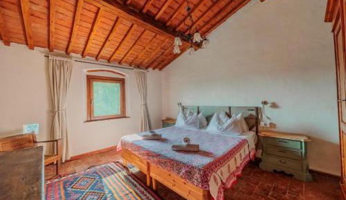 One-Bedroom Apartment with View