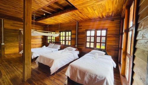 Single Bed in Mixed Dormitory Room