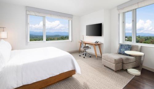 Guest room, 1 King, Mountain view