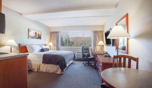 One-Bedroom Theme Suite - Non-Smoking