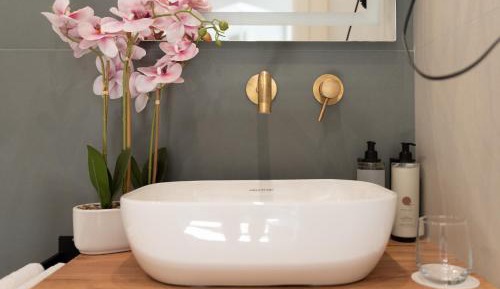 Deluxe Double Room with Shower