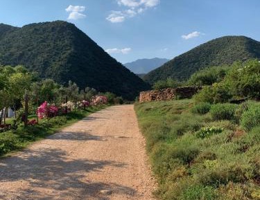 Suite with Mountain View