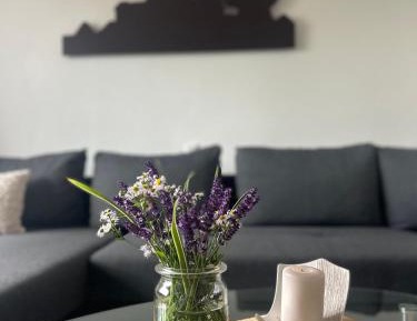 Three-Bedroom Apartment with View