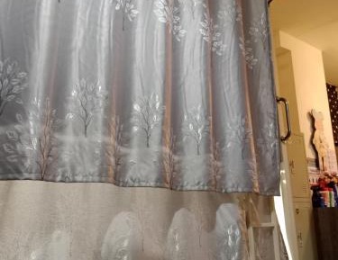 Bunk Bed in Mixed Dormitory Room