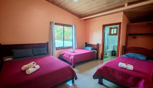 Triple Room