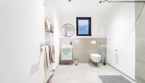One-Bedroom Apartment with Shower