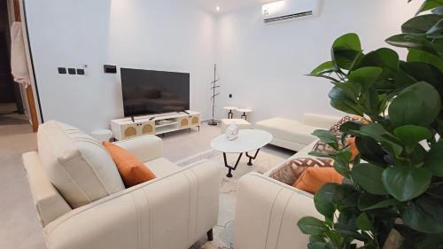 Three-Bedroom Deluxe Apartment