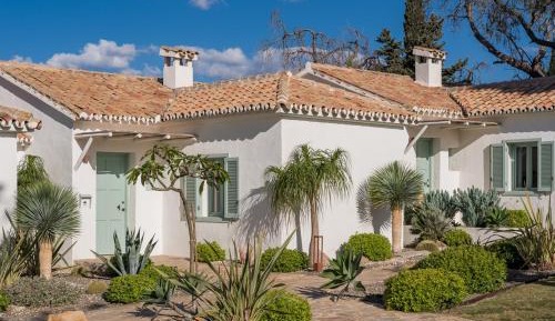 Deluxe Bungalow