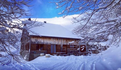 Chalet