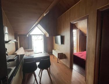 One-Bedroom Apartment with Balcony and City View