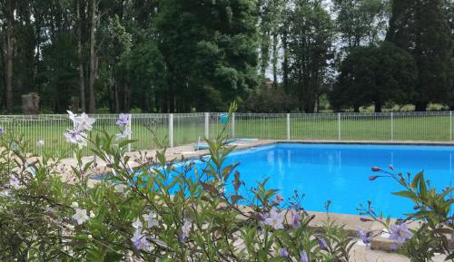 Superior Double or Twin Room with Pool View