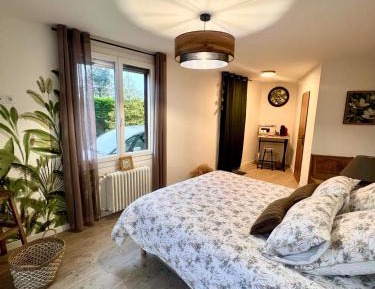 King Room with Garden View