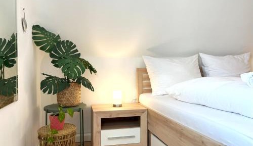 Two-Bedroom Apartment with View