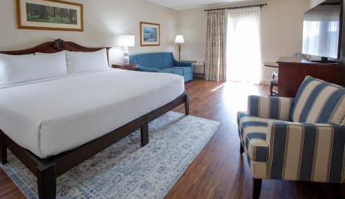 Superior King with Mountain and Water Park View - Inn