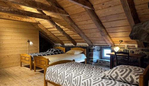 Single Bed in Dormitory Room