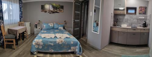 Studio with Sofa Bed