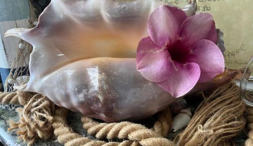 Bore La Mer - Studio