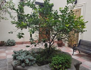 Apartment - Split Level